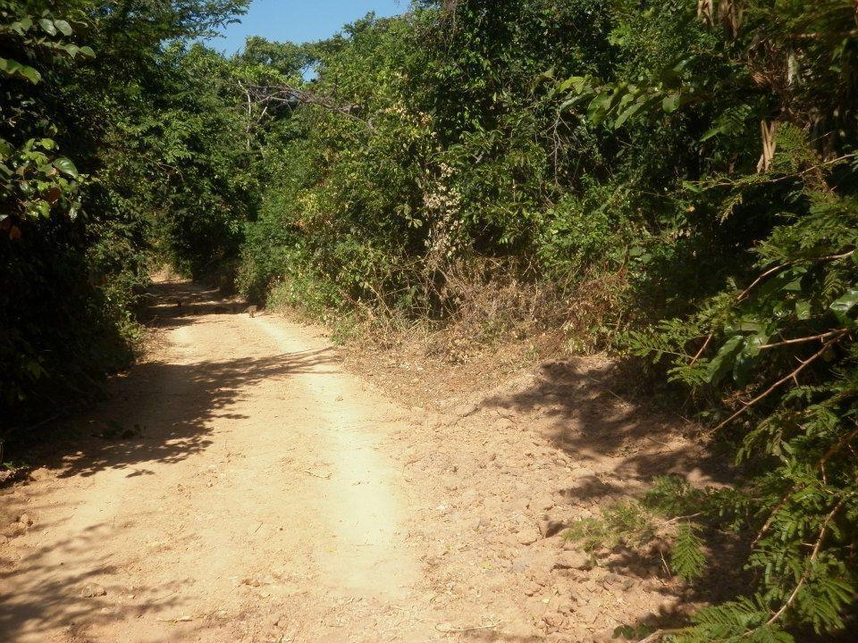 Tanji Bird Reserve Eco-Lodge (Adults Only) Ghana Town Bagian luar foto