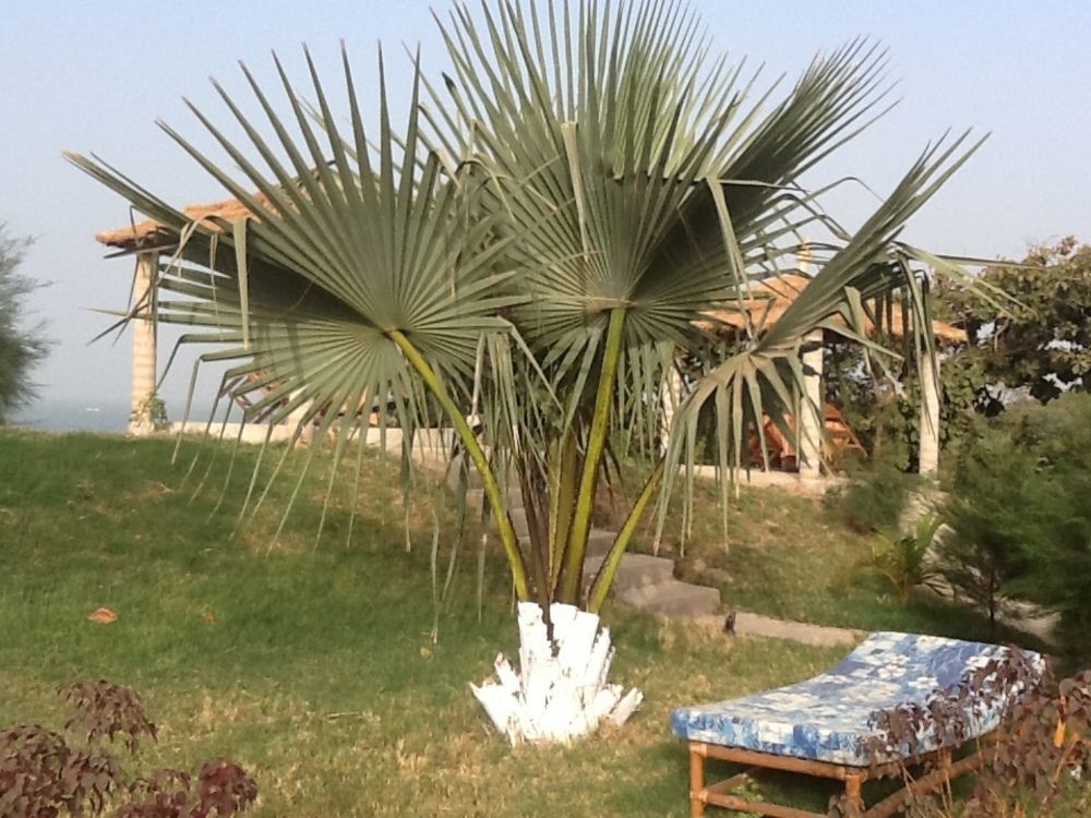 Tanji Bird Reserve Eco-Lodge (Adults Only) Ghana Town Bagian luar foto